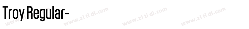 Troy Regular字体转换